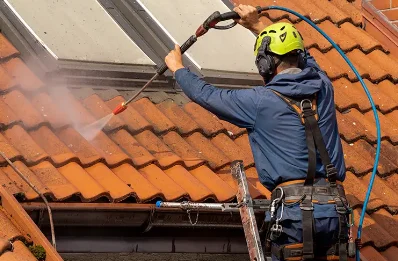 Démoussage et hydrofuge de toiture à Verosvres